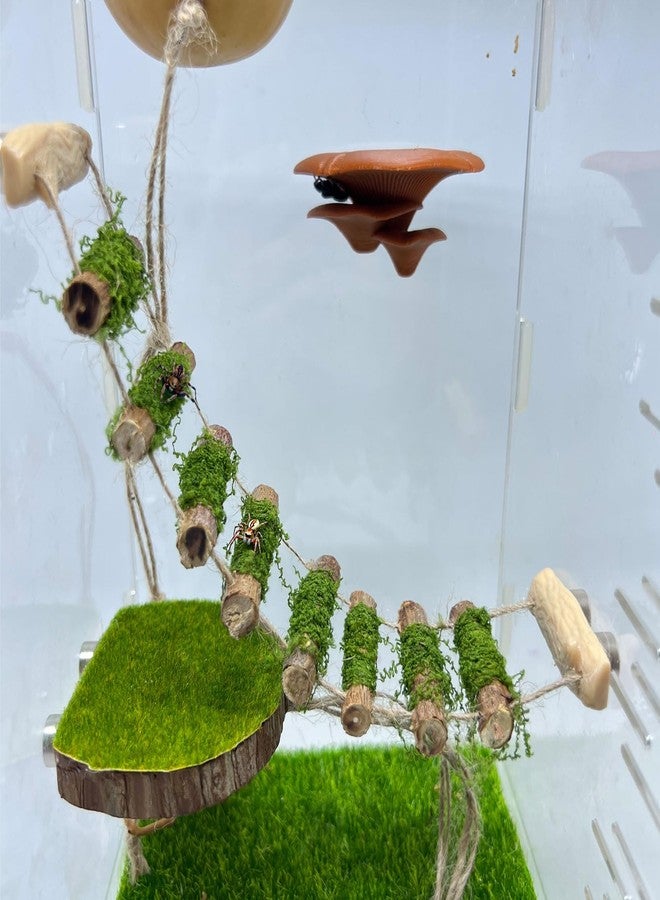 Daerky Jumping Spider Rope Bridge,A Solid Wood Climbing Suspension Bridge, a Jumping Spider Enclosure Accessory, Handmade, a Spider Jump Platform, Used As a Decorative Accessory for Small Reptile Enclosures - Image 1